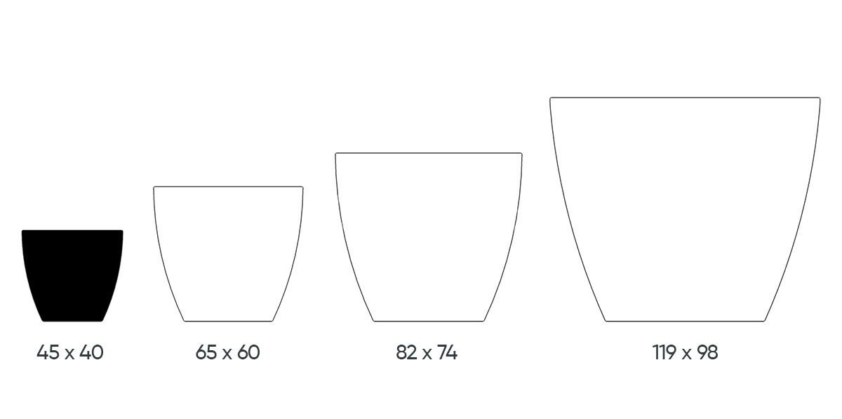 2864-TULIP_skala_S_1_