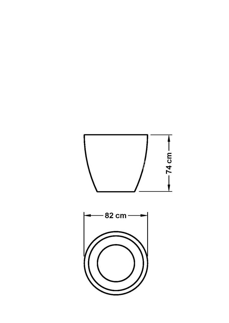 2950-TULIP_L_1_
