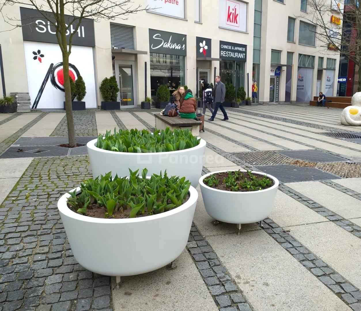 3323-2869f465-b240-4d9d-a6bc-6a2c5c798f0c