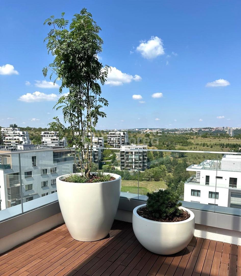 3531-3413-a36c5d2a-8c9f-4c96-91b4-2989cb2bbfe6_1_